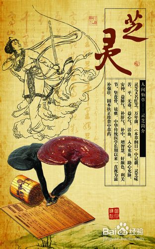 治疗高血压的无毒副降血压方法