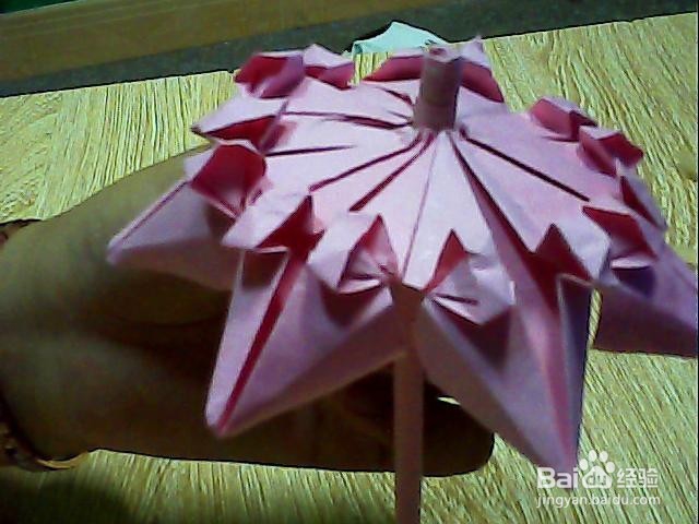 简单可爱的小花伞