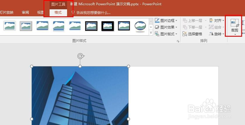 PPT2016图片怎么裁剪成形状