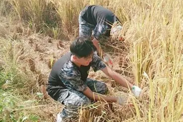 不怕苦不怕累的什么精神哦