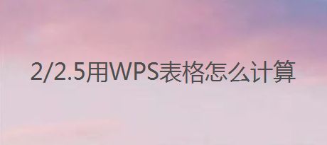 2/2.5用WPS表格怎么计算
