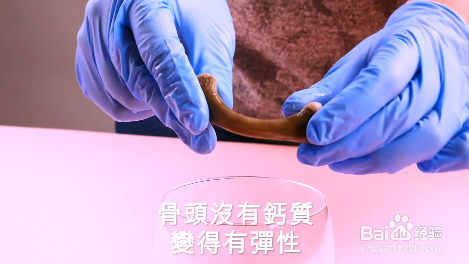 一个醋溶解骨质的实验,结果让你想象不到!