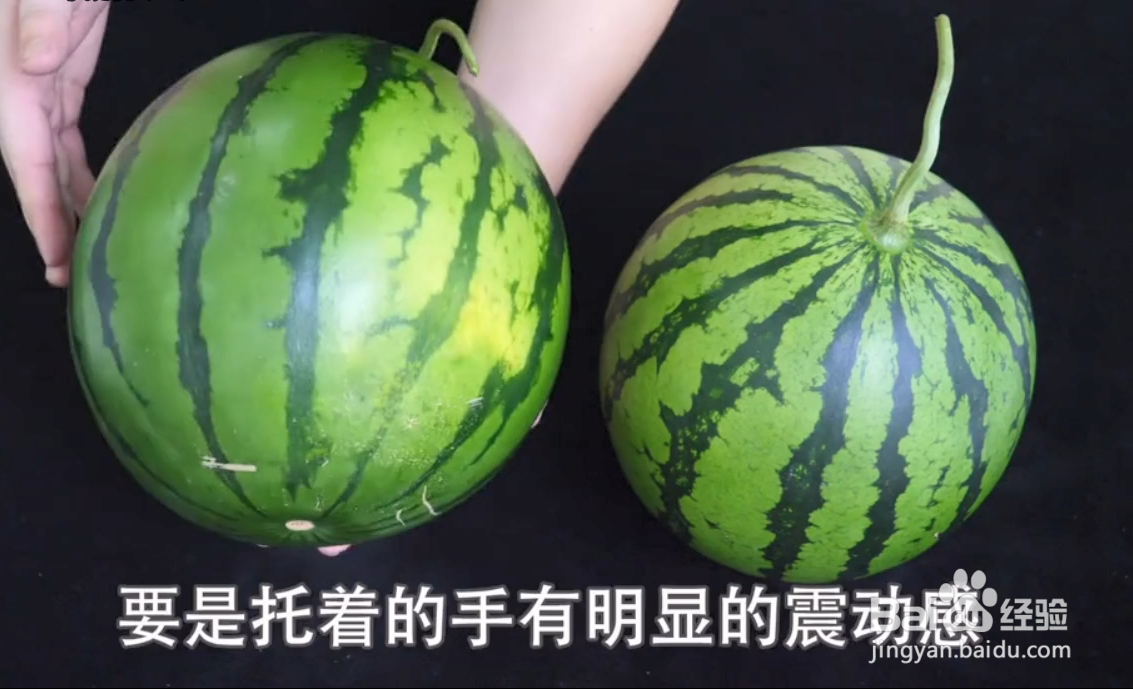 如何挑选西瓜？