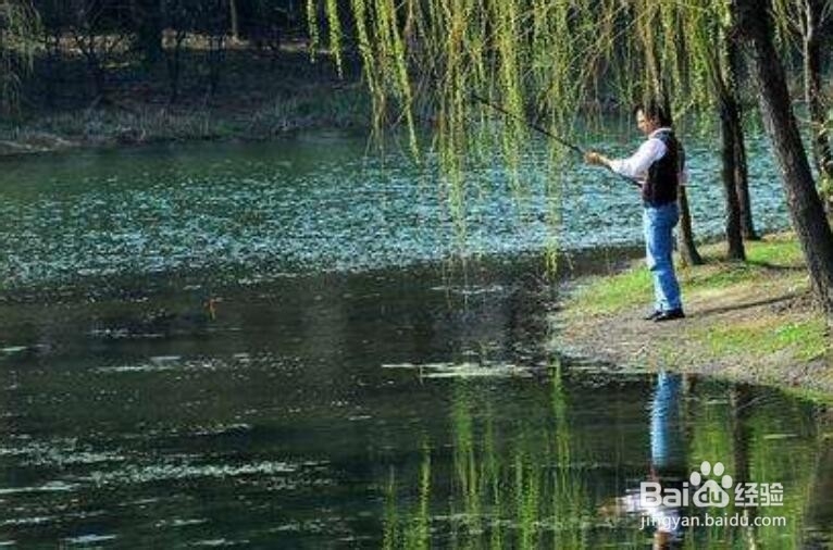 春季什么时候出钓效果好