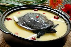 天山雪莲的价格