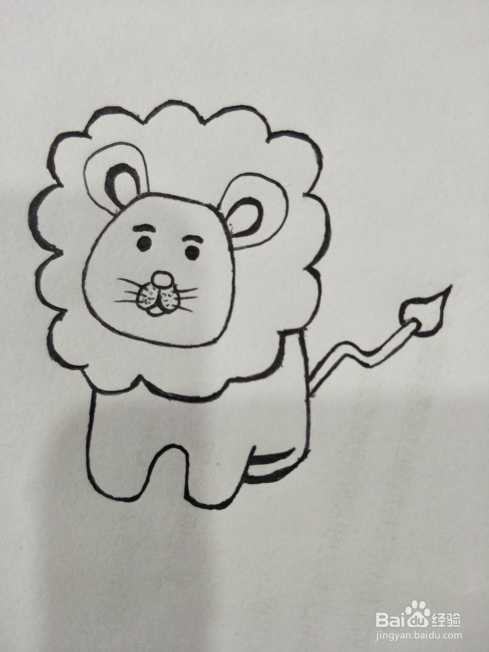 <b>简笔画——小狮子</b>