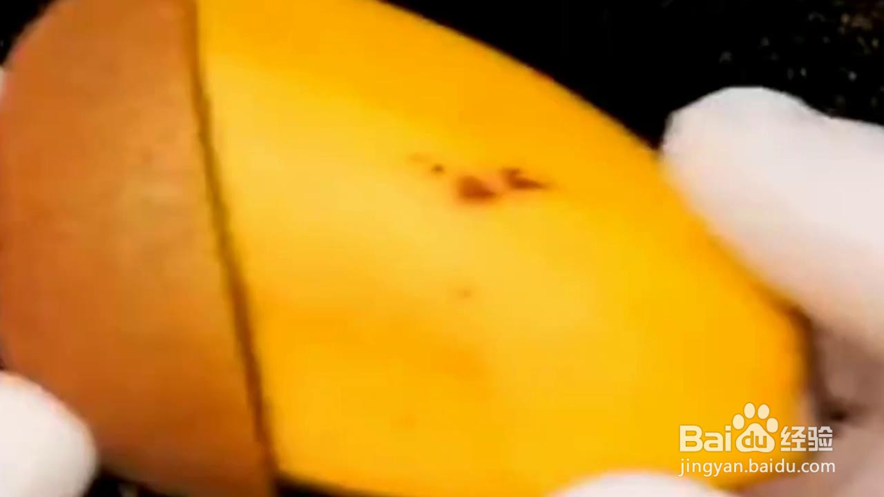 自己在家怎么种植小植物？