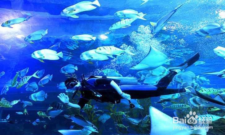 去抚顺必游的热度景点都是哪里?