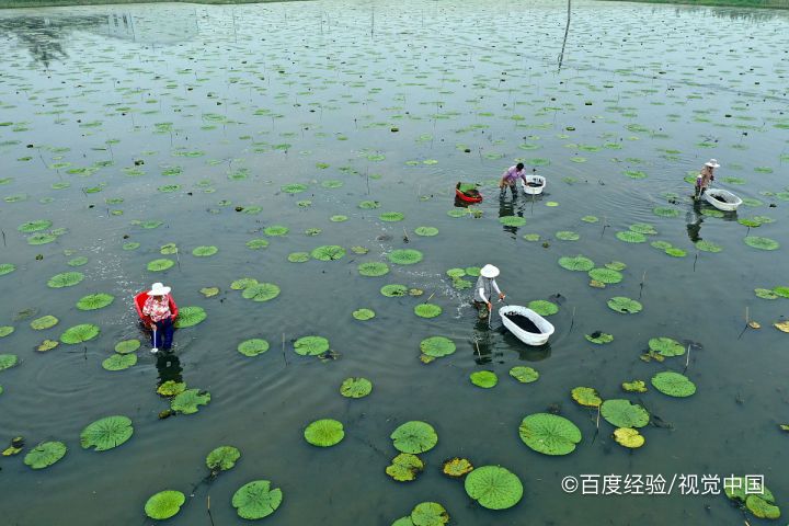 宝应景点一日游攻略