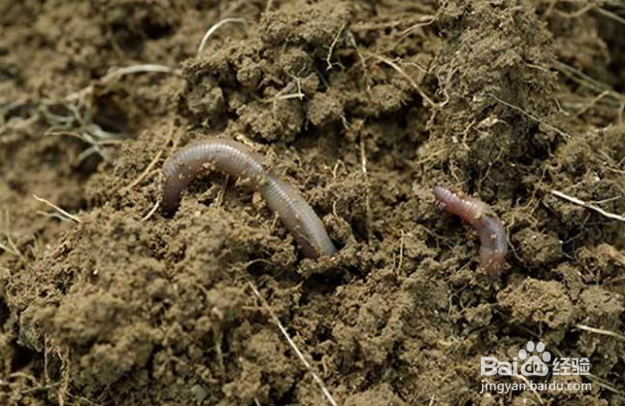 #国庆去哪儿#旅行中怎么辨别天气？