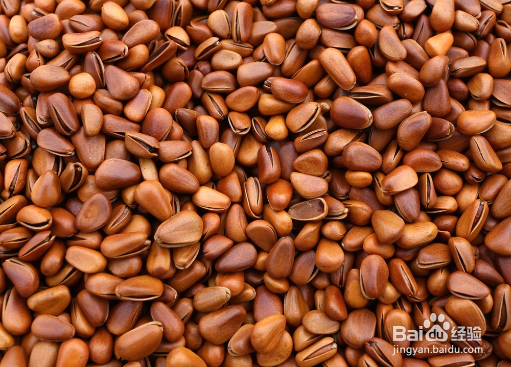 过度用脑吃什么补回来？以下这些对大脑有好处