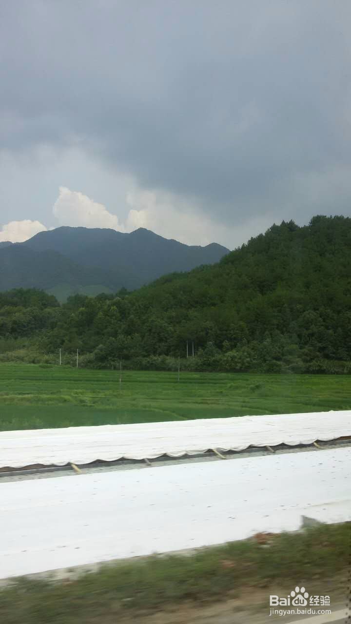 长寿之乡庆元行攻略