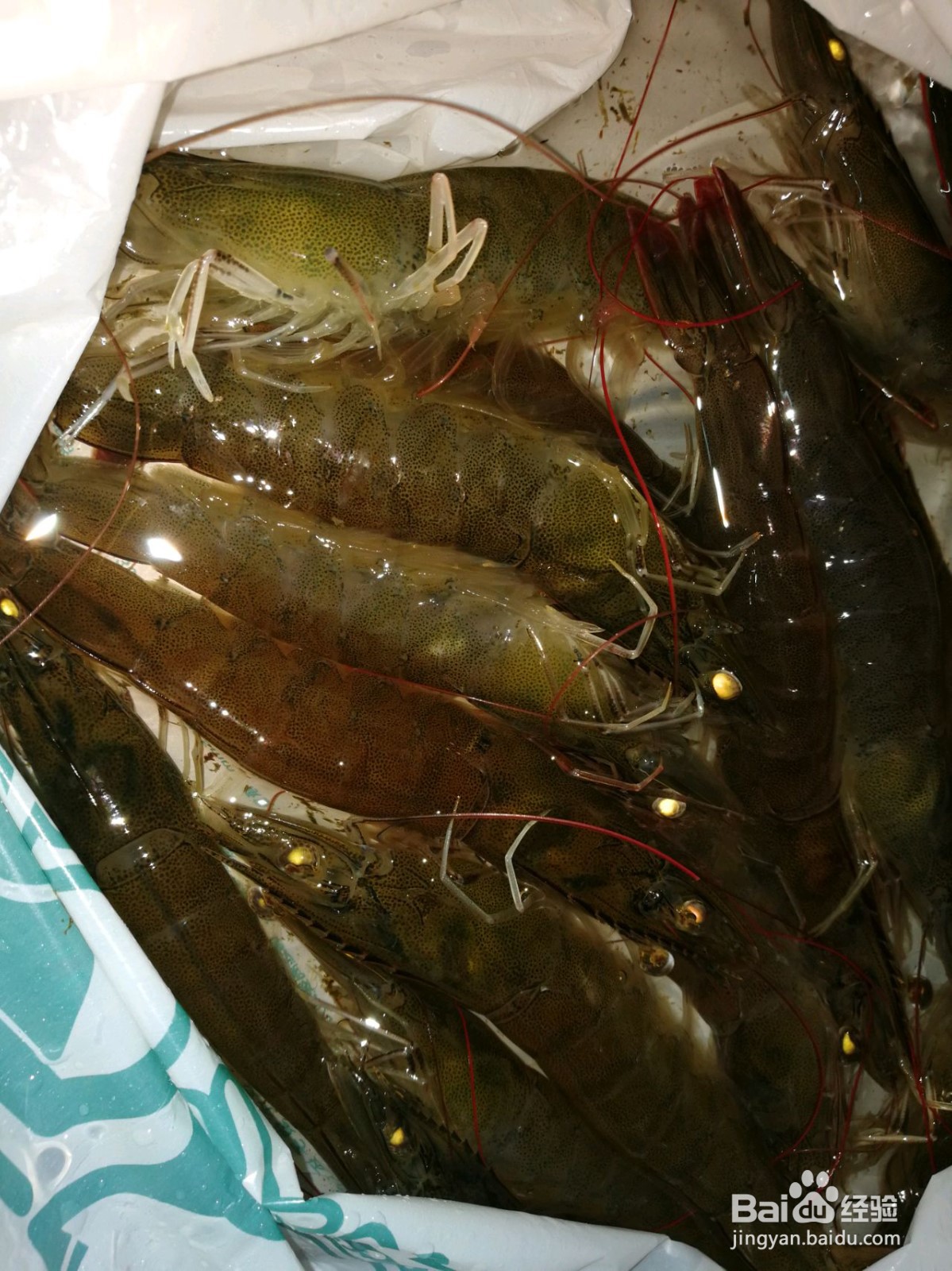 鲜虾鸡翅煲怎么做