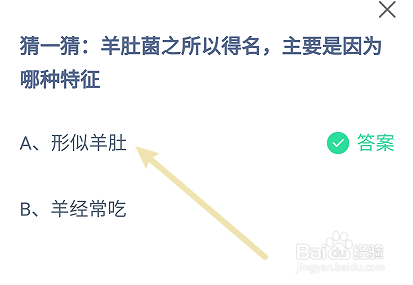 蚂蚁庄园羊肚菌之所以得名,主要是因为哪种特征