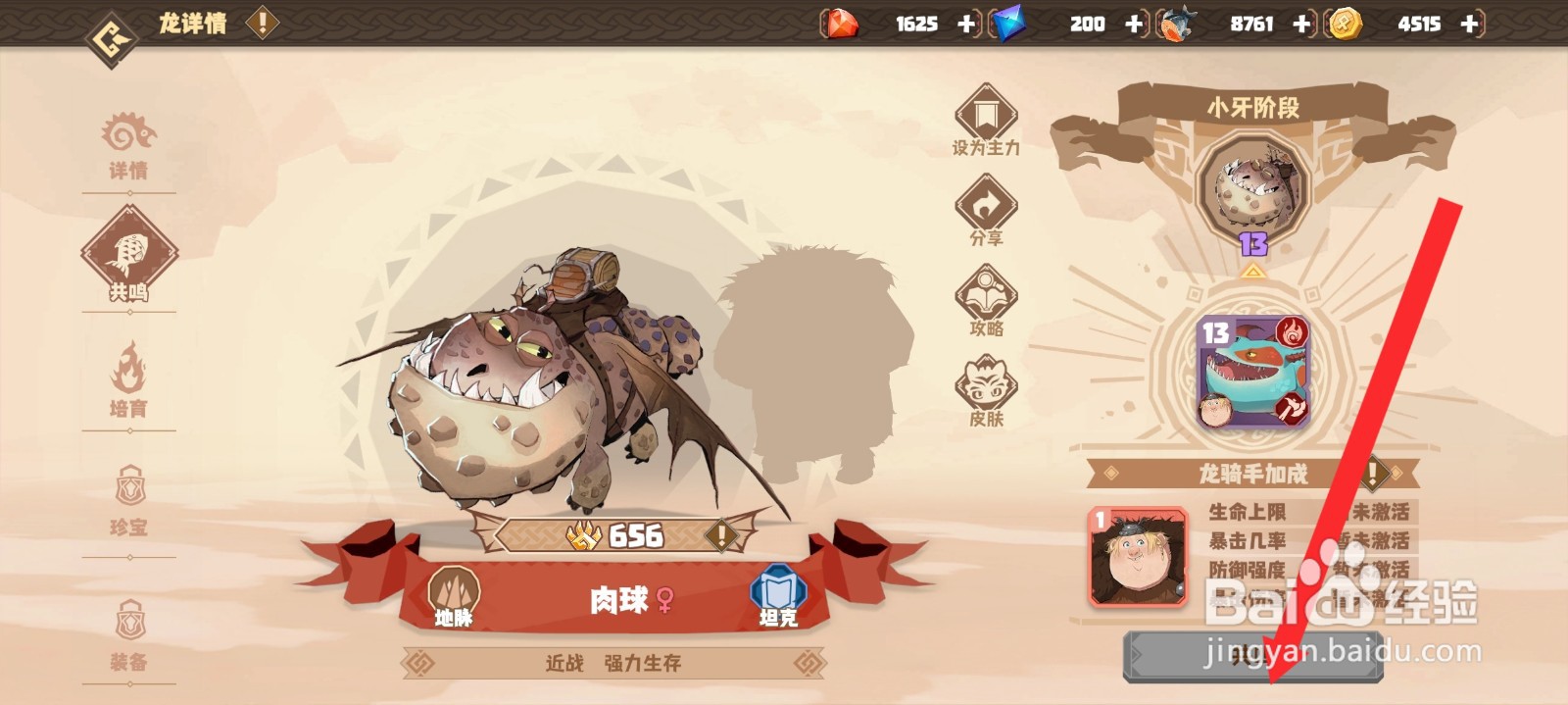 驯龙高手旅程的肉球龙如何共鸣