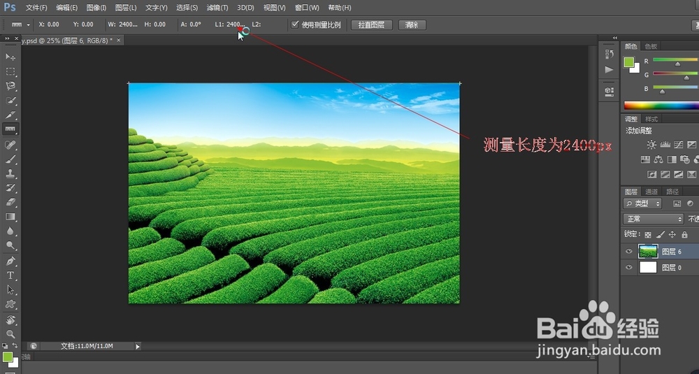 PS标尺工具如何使用（18）