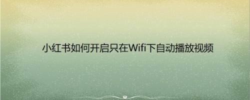 小红书如何开启只在Wifi下自动播放视频