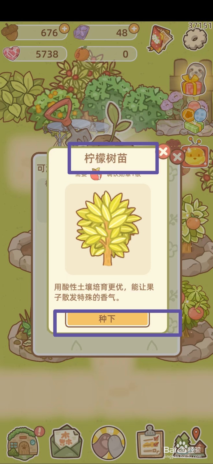 鼹鼠同行之森林之家种植柠檬攻略