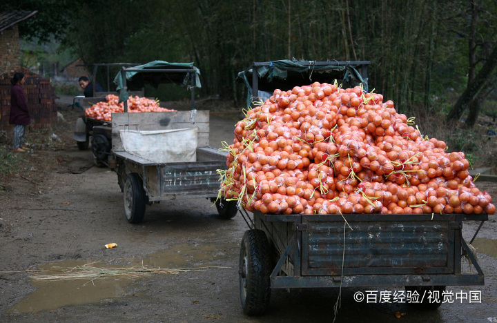 橘子皮有哪些药用效果