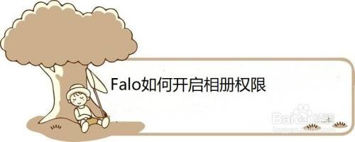 Falo如何开启相册权限