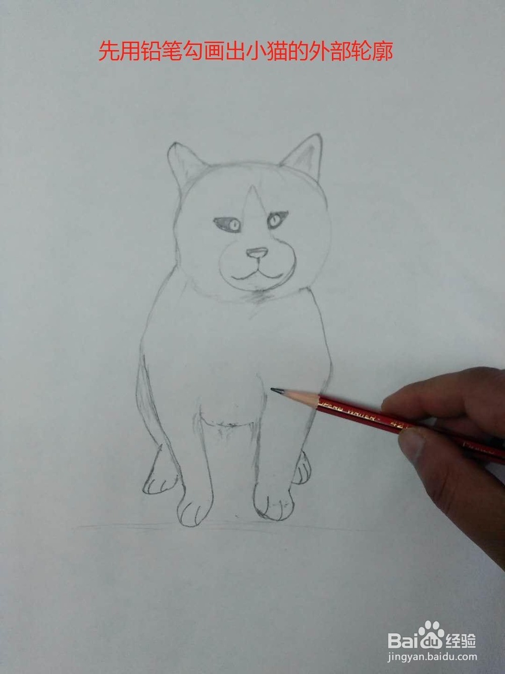 水彩画坐着的小猫的画法