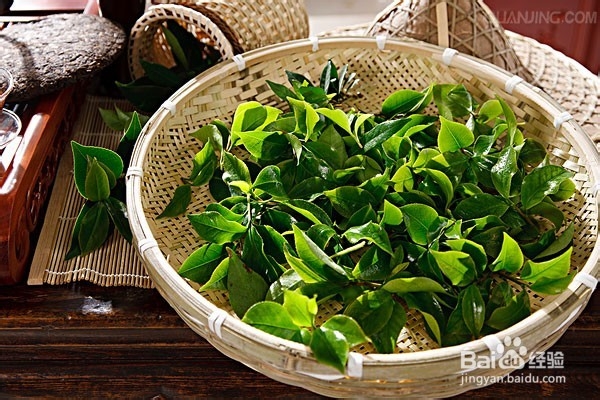 怎样鉴别新茶和陈茶