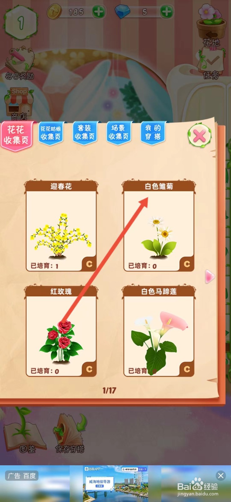 花花姑娘如何查看白色雏菊的【生长速度】