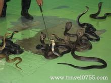 泰国签证怎么办