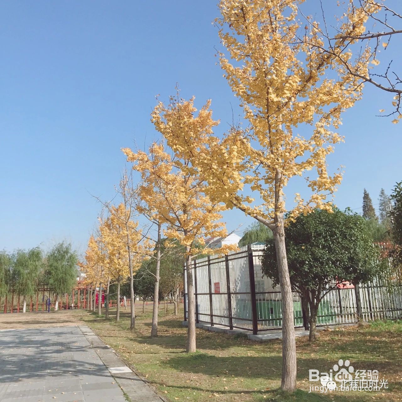 失恋了怎么走出来——北巷旧时光