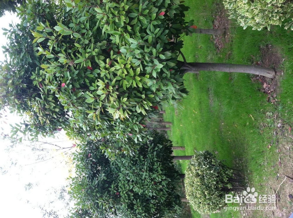 如何在冬季进行早锻炼，让心情愉悦