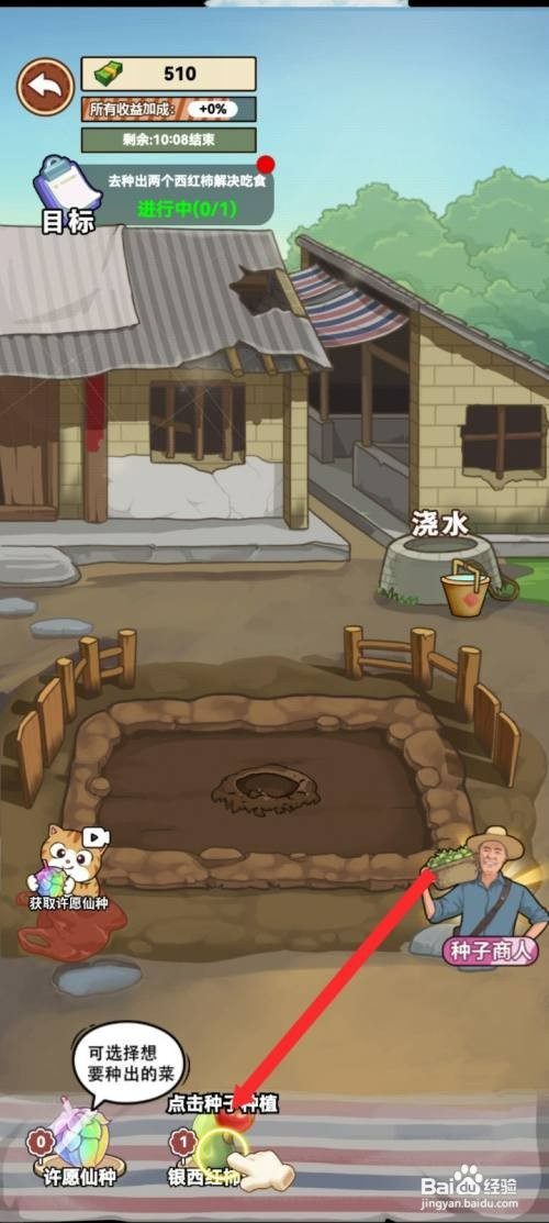 我的乡村生活种植银西红柿如何操作