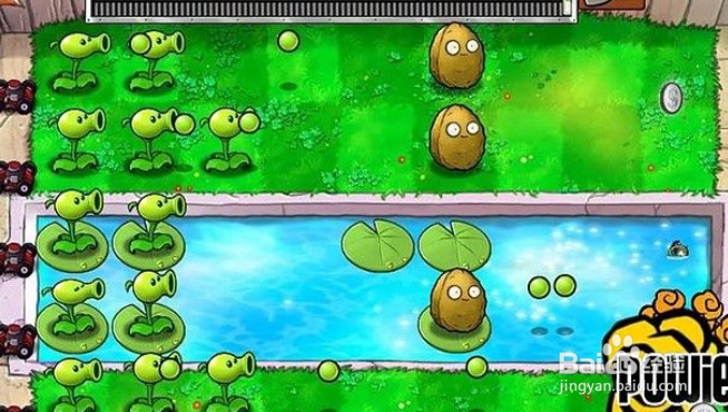 植物大战僵尸泳池5-6关攻略