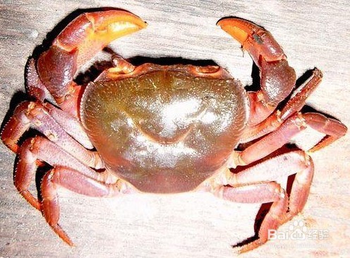 飞机上可以带笔记本电脑吗