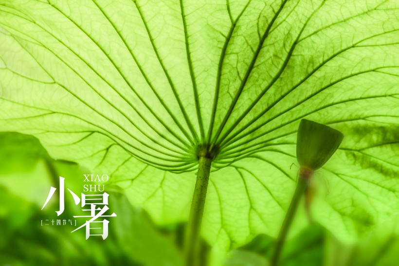 什么时间小暑节气 小暑是什么时候