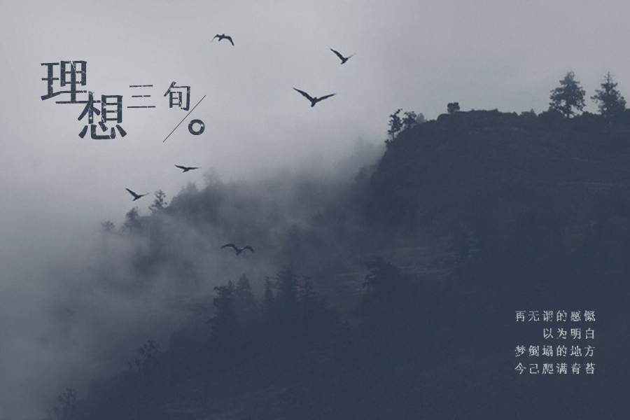 《理想三旬》主要讲了什么故事