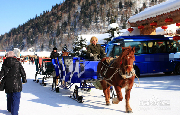 春节去哈尔冰旅游6天5夜怎么安排？