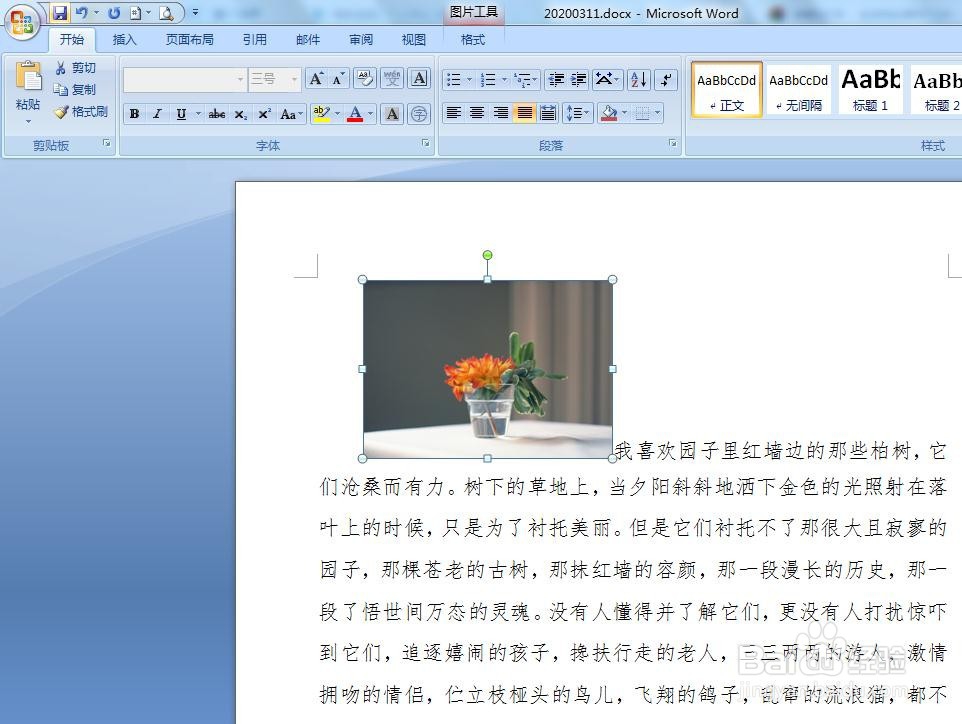 word文档怎么放图片进去