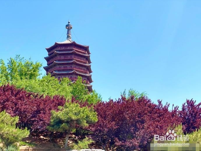 北京北宫国家森林公园旅游攻略