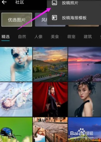 格蕾丝教主怎么投稿
