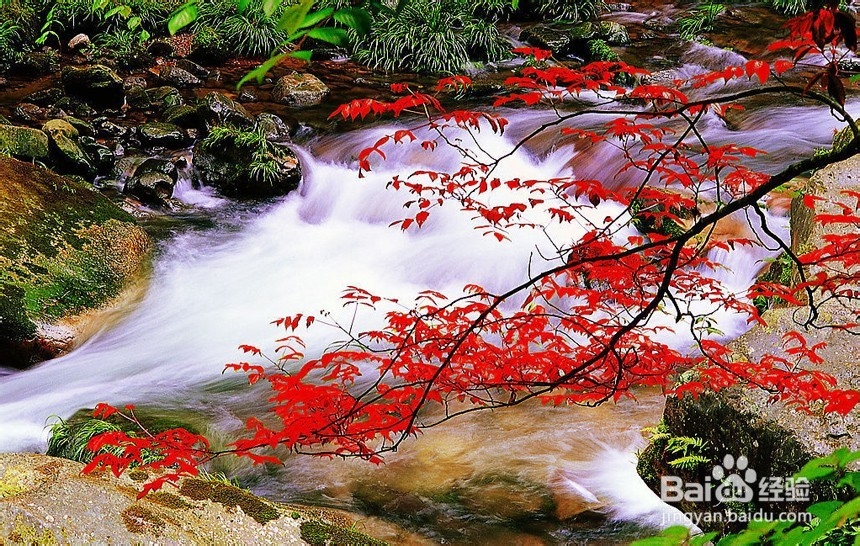 镇江到张家界自驾游