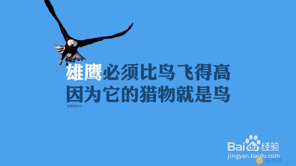 你了解店铺淘客吗?