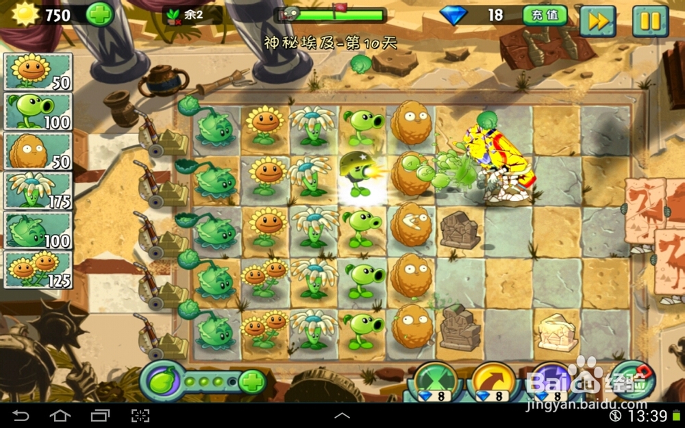 植物大战僵尸2神秘埃及第十天一星