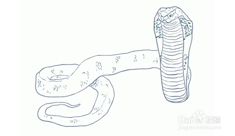 可怕的毒蛇怎么画图片