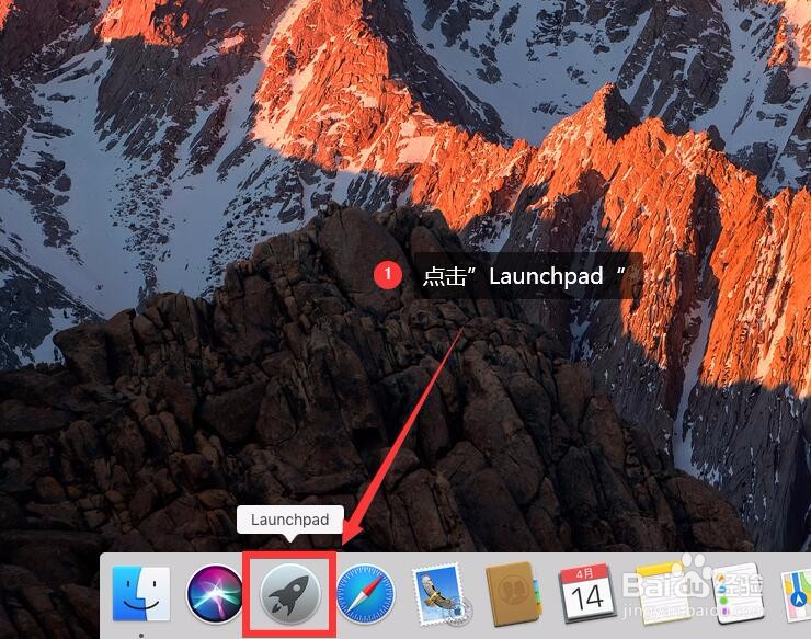 苹果电脑怎么查看IP地址