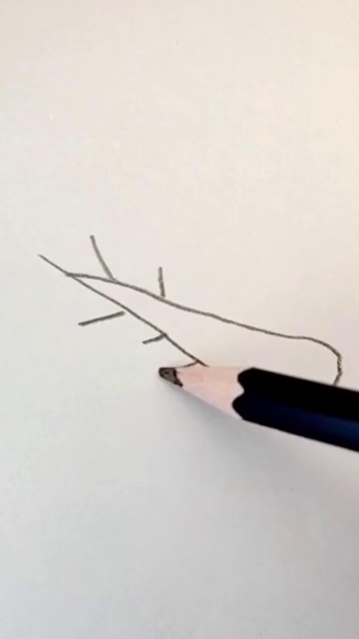育儿简笔画白菜怎么画