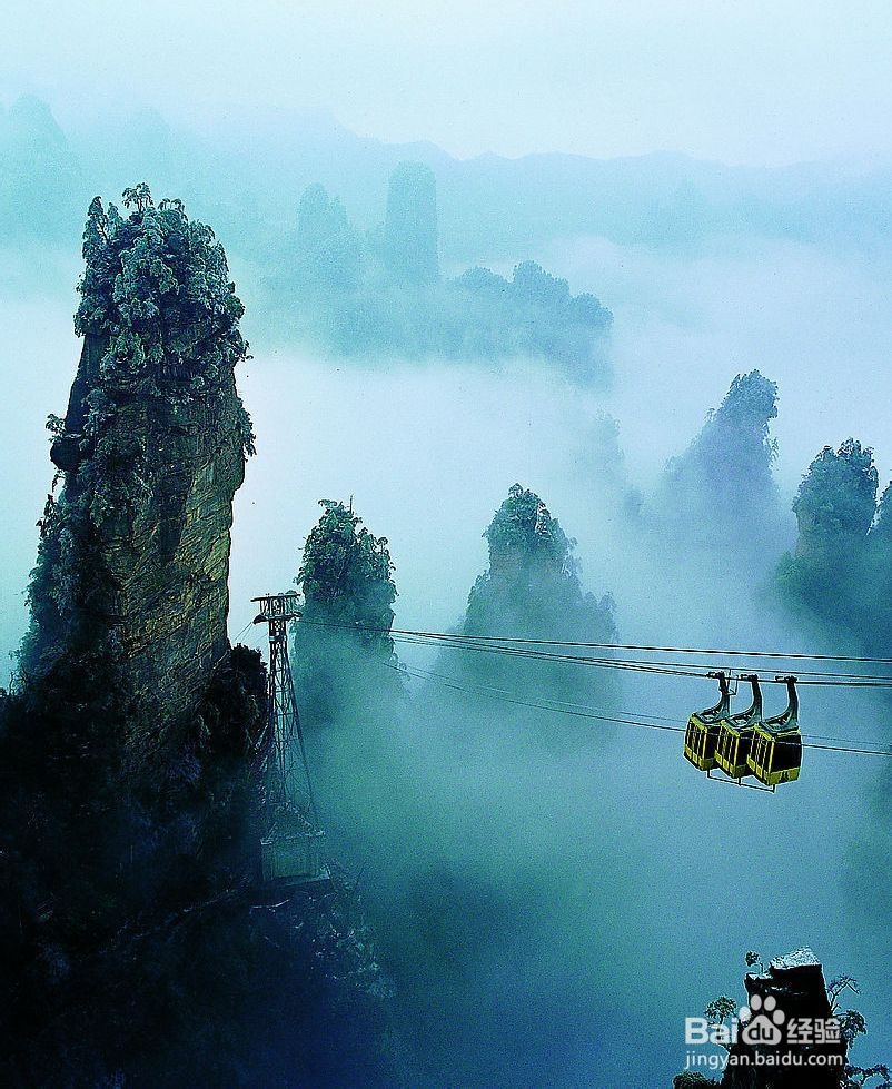 学生张家界自助游