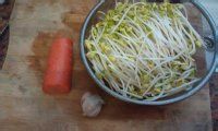 自制红萝卜炝银芽