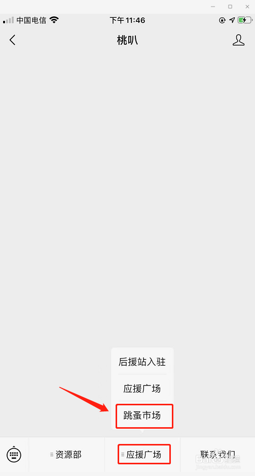 桃叭订单怎么看
