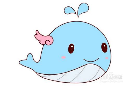 可爱的鲸鱼简笔画教程 百度经验