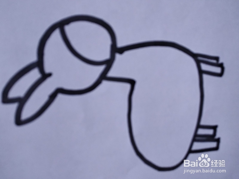 小毛驴简笔画怎么画